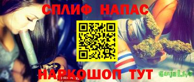 амф Можга
