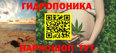 амф Можга