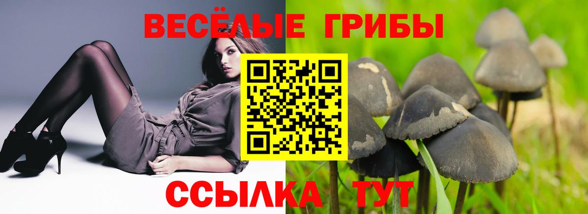 Псилоцибиновые грибы Magic Shrooms  Вход с VPN  магазин продажи   Галлюциногенные грибы Psilocybine cubensis  Татарск 